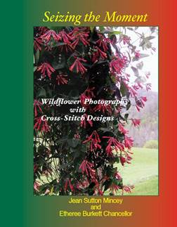 small-wildflowerbook
